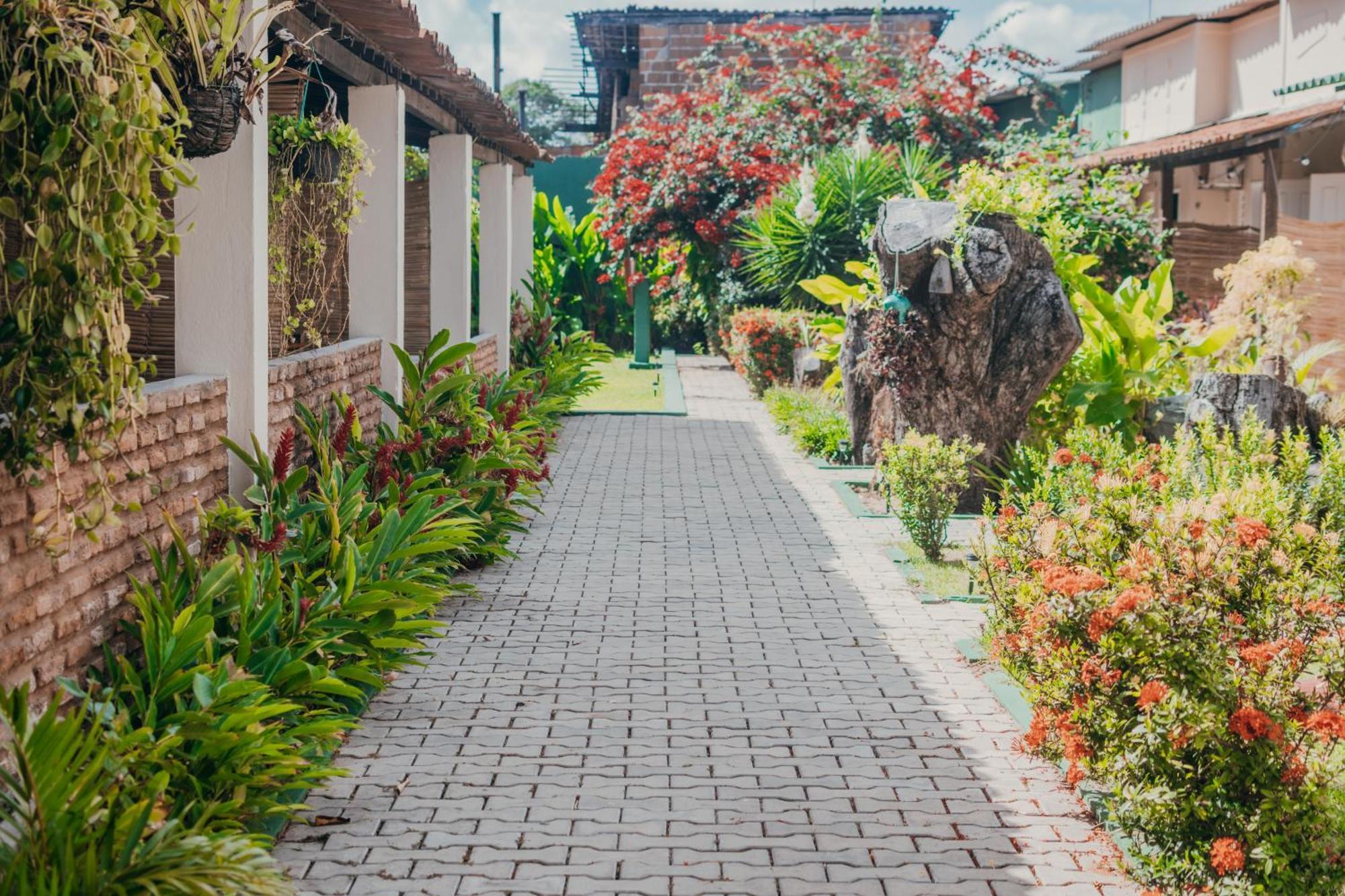 Praia de Pipa Free! Hostel Vila المظهر الخارجي الصورة